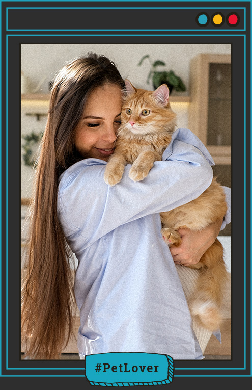 etapas del embarazo en gatos